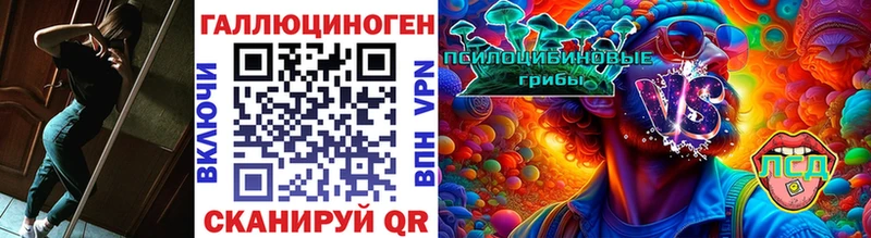 Псилоцибиновые грибы Psilocybine cubensis  Сарапул 